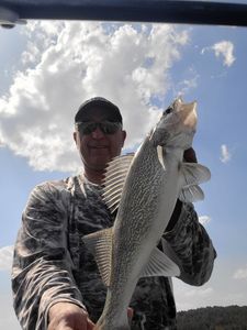 Large Walleye in Southeast Wisconsin